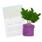 Astrology Plant Ornament