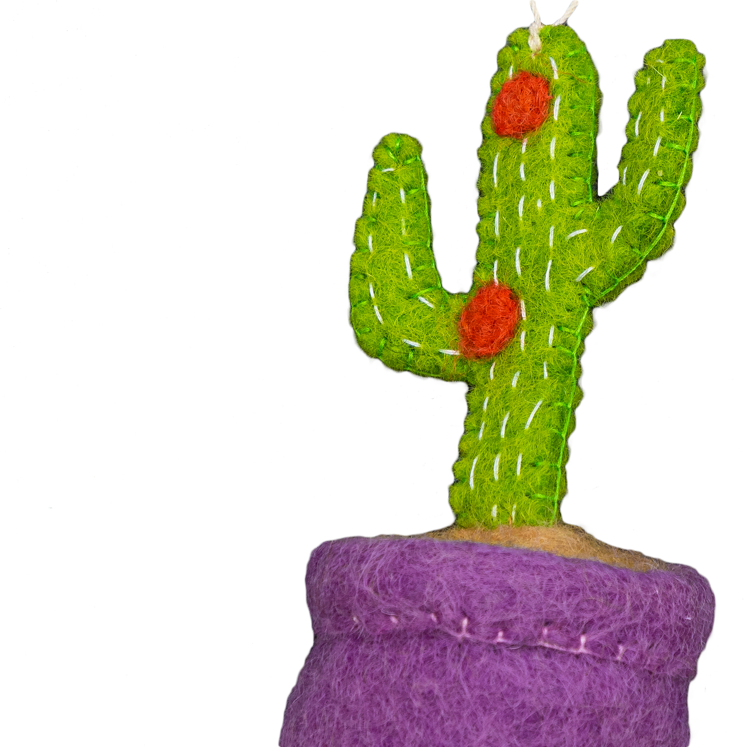 Astrology Plant Ornament