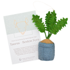 Astrology Plant Ornament