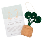 Astrology Plant Ornament