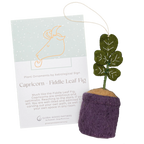 Astrology Plant Ornament