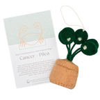 Astrology Plant Ornament