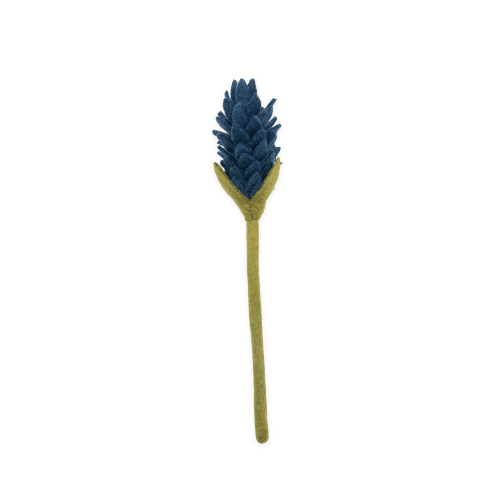 Felt Alpinia
