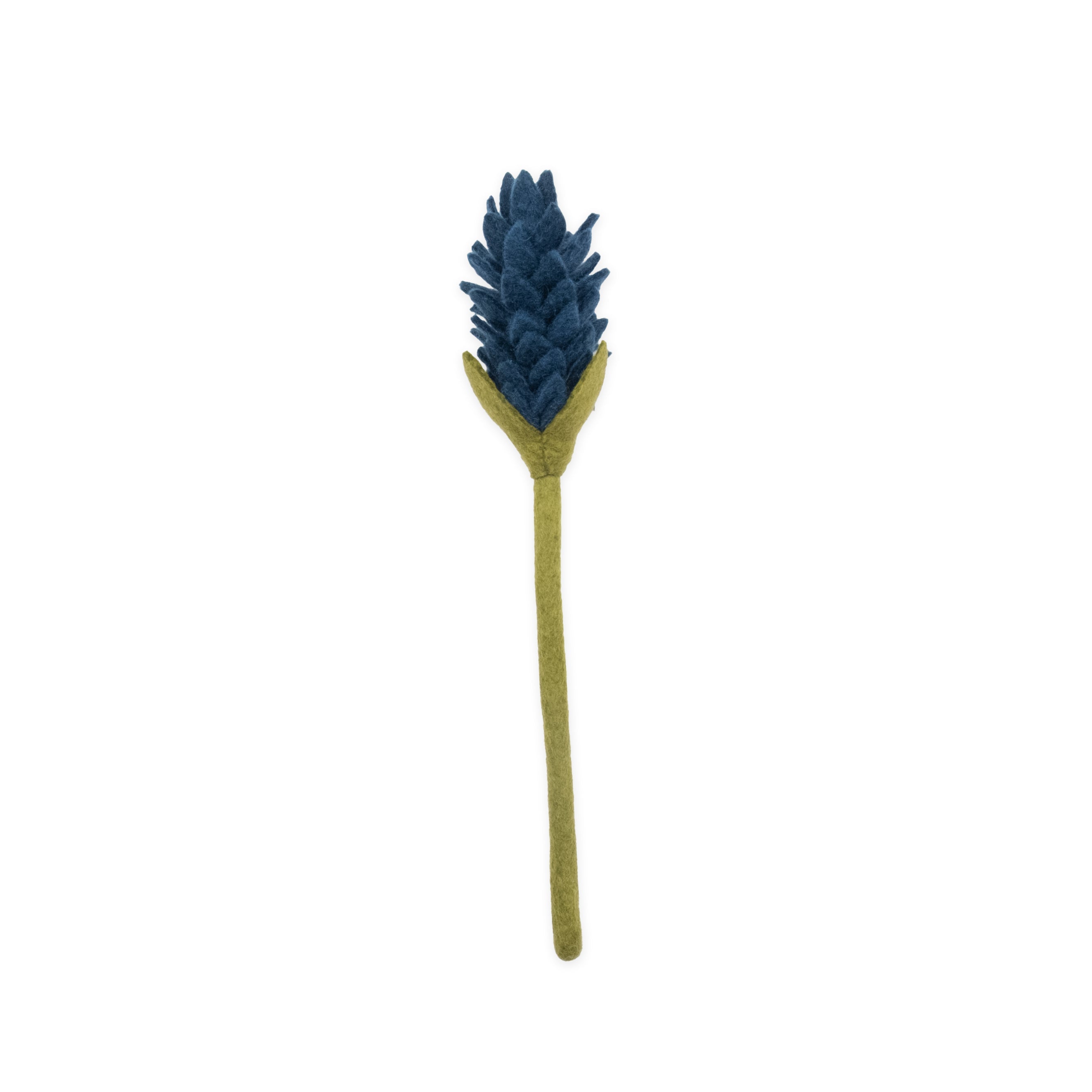 Felt Alpinia