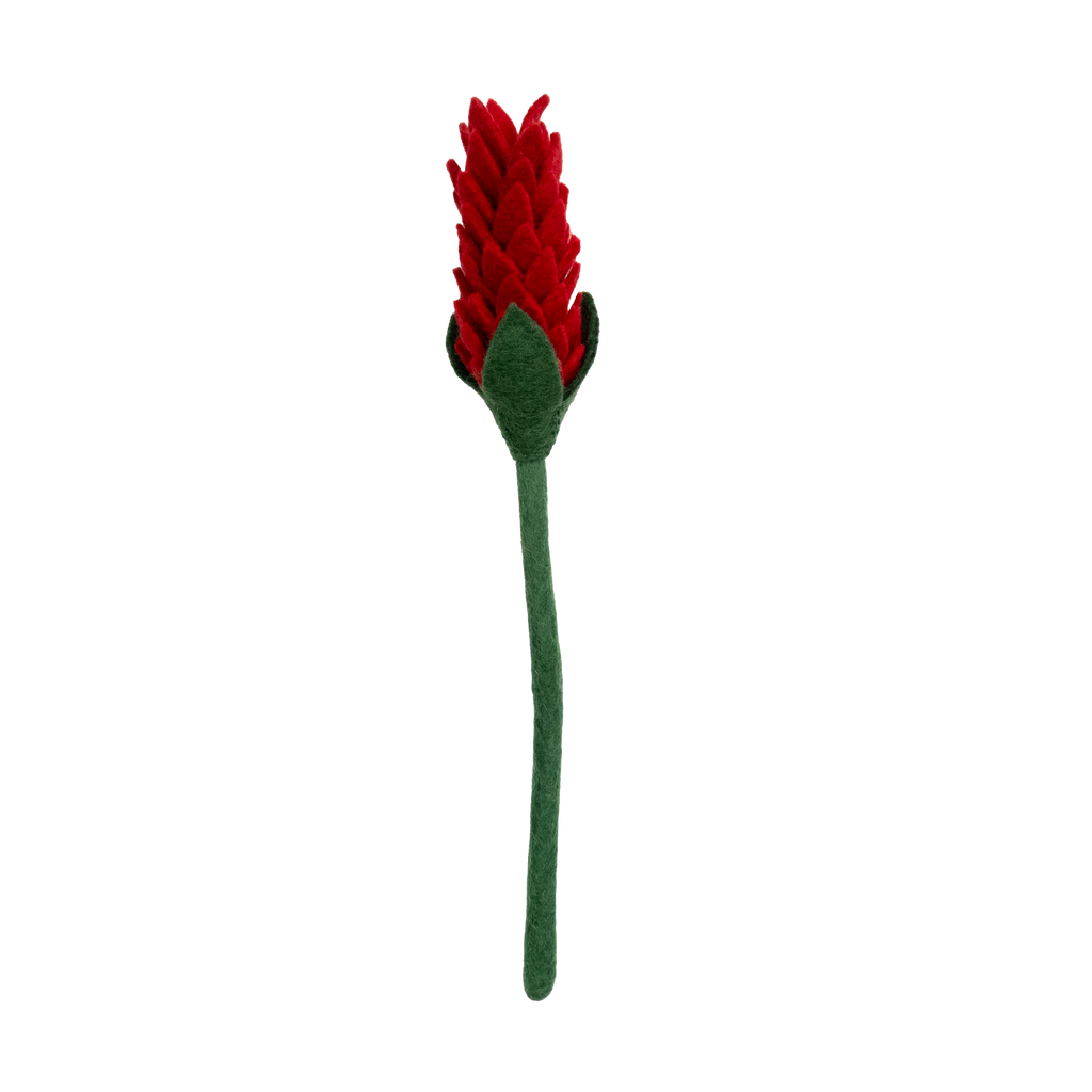 Felt Alpinia