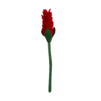 Felt Alpinia