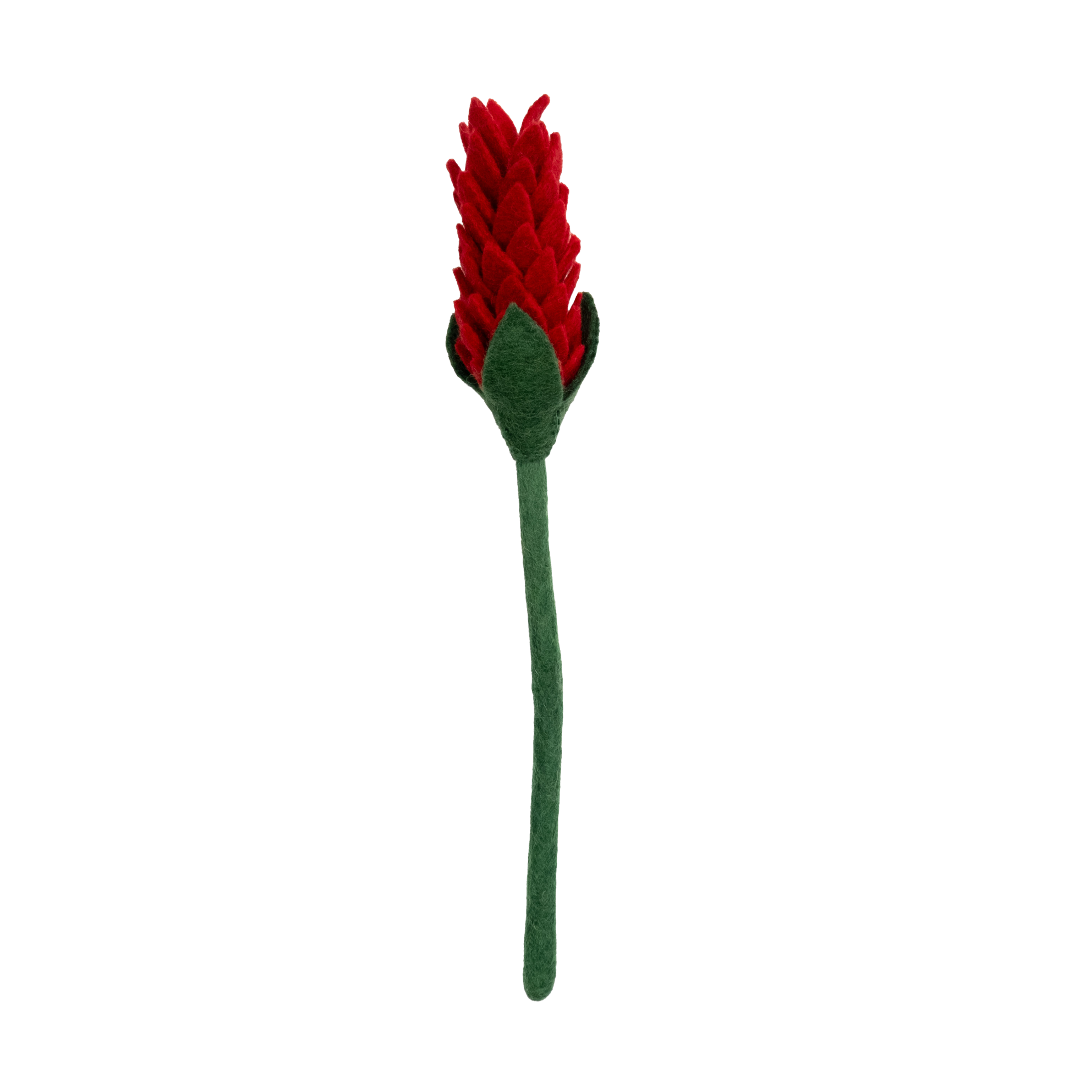 Felt Alpinia