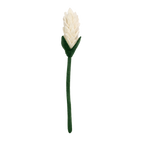 Felt Alpinia