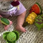 Felt Food Toys