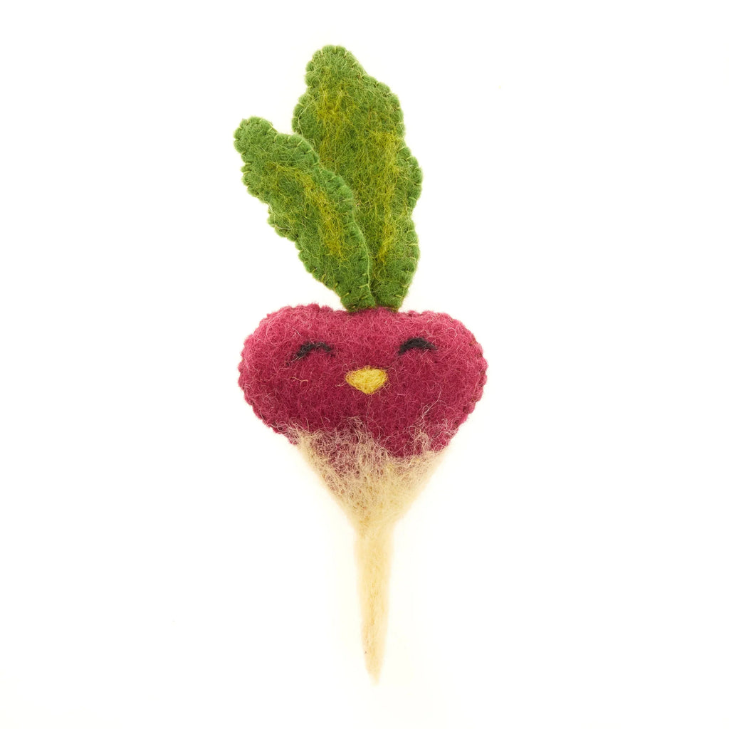 Felt Food Toys