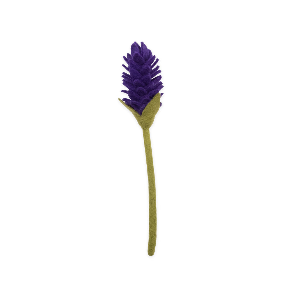 Felt Alpinia
