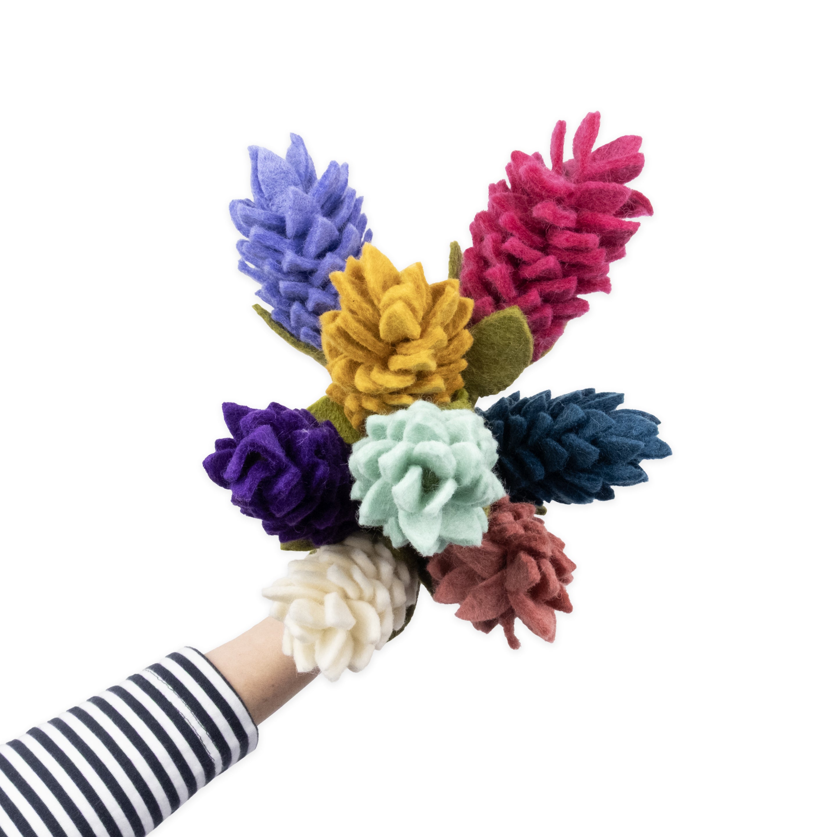 Felt Alpinia