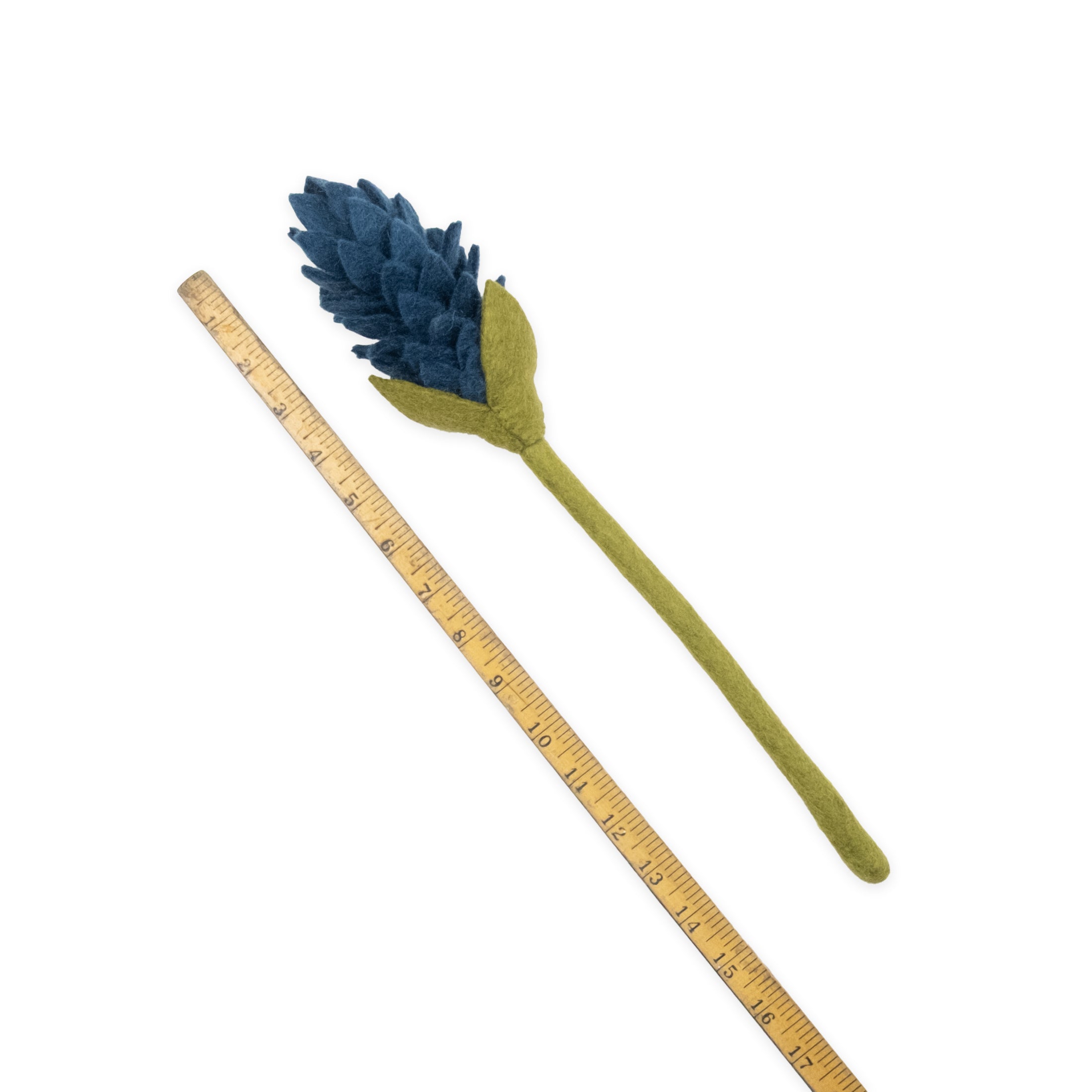 Felt Alpinia