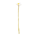 Felt Daisy Accent Stem
