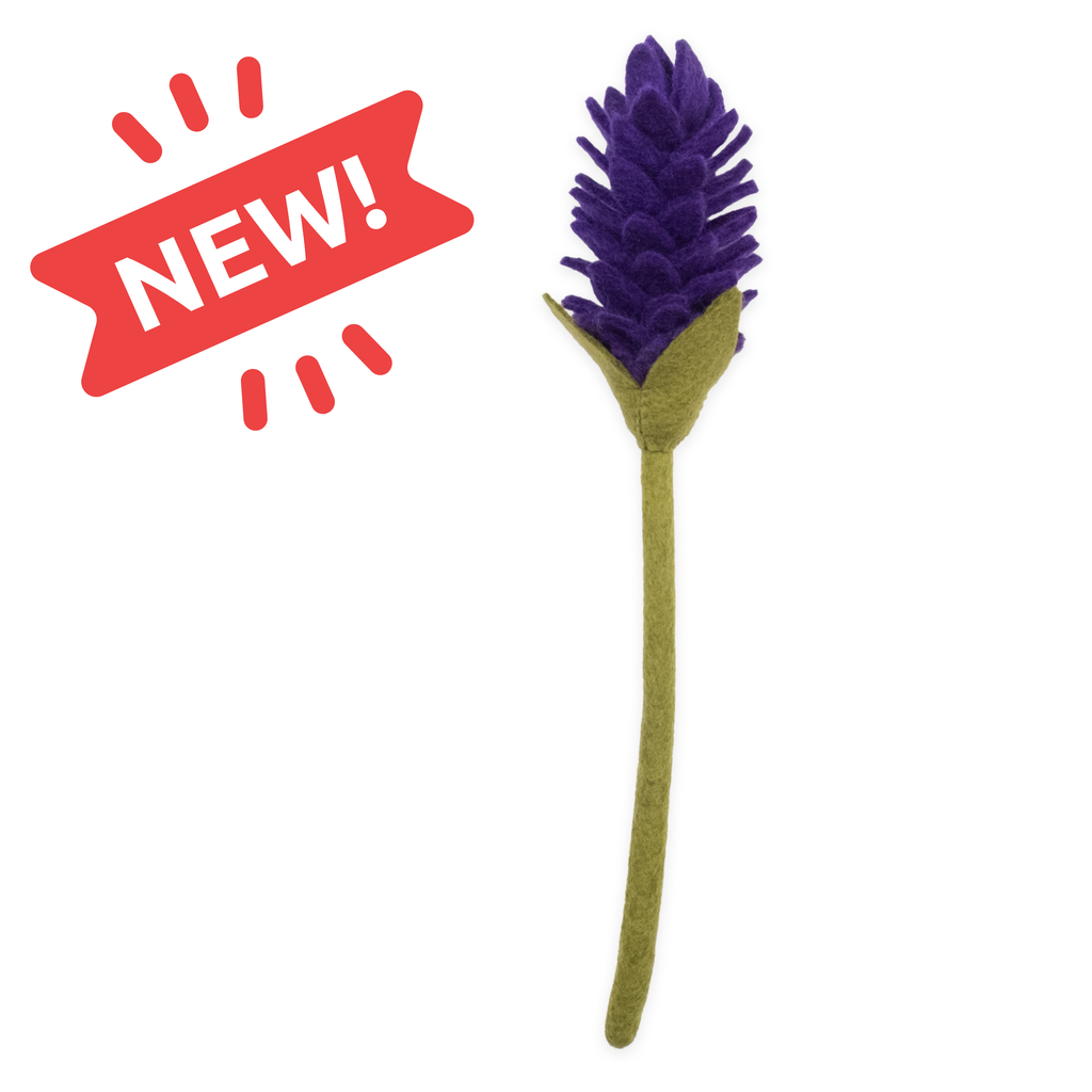 Felt Alpinia