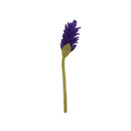 Felt Alpinia